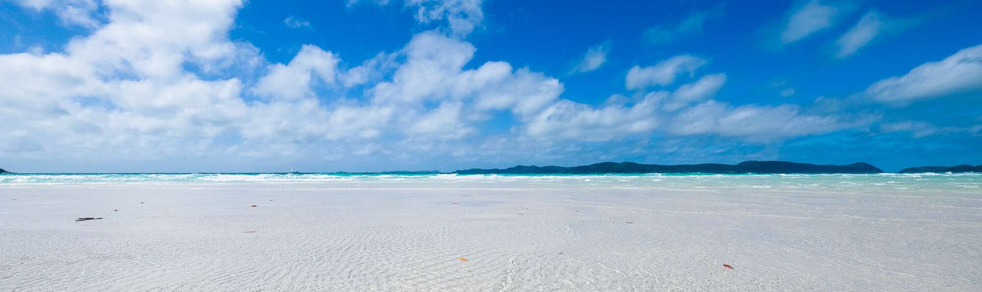 Red Cat Adventures_Shallow Water-Banner a sandy beach next to the ocean