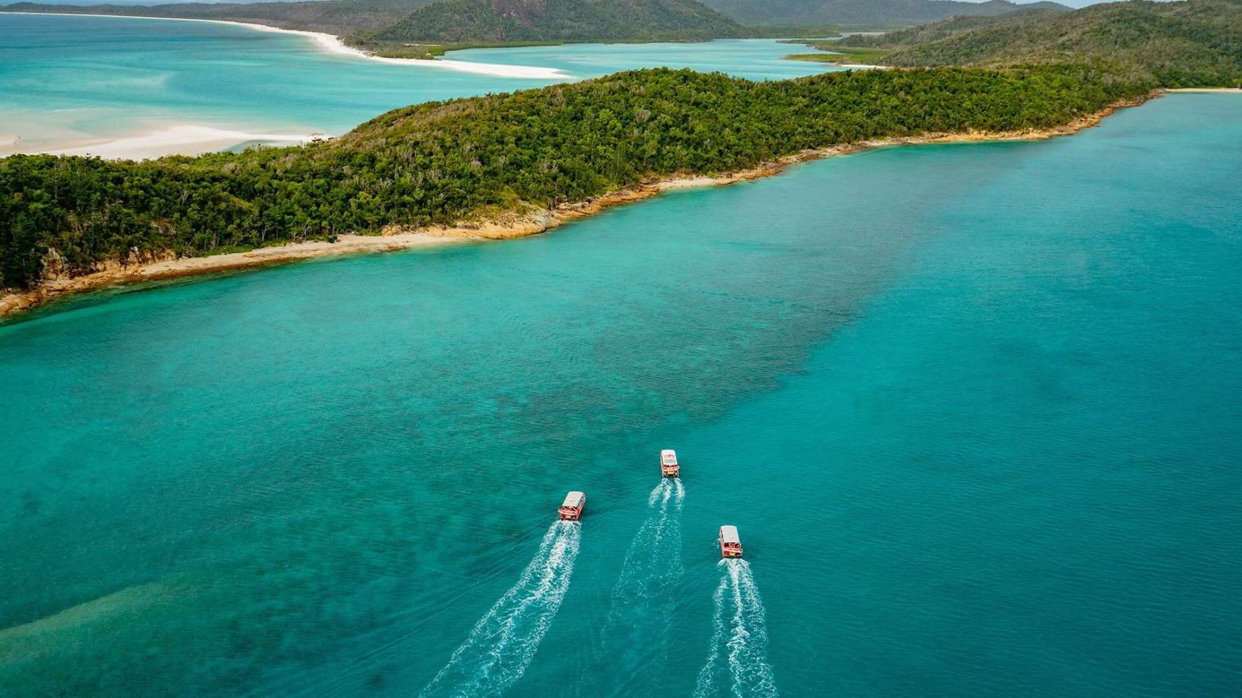 A guided Red Cat Adventures boat tours arriving at Whitehaven Beach at golden hour, led by Thundercat. Turquoise water, tropical islands and beautifyl white sand beaches.