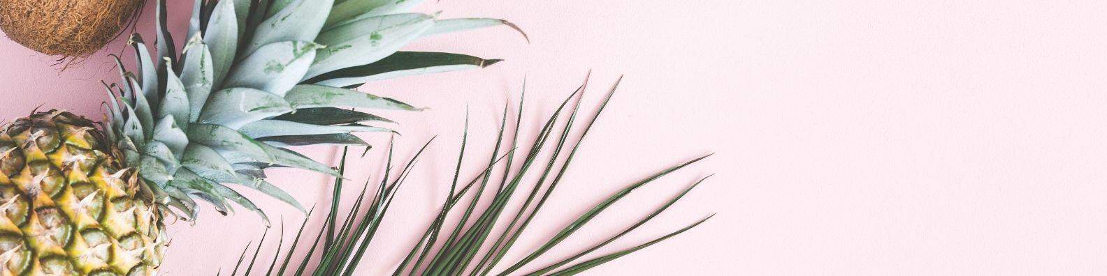 airlie beach weather in February