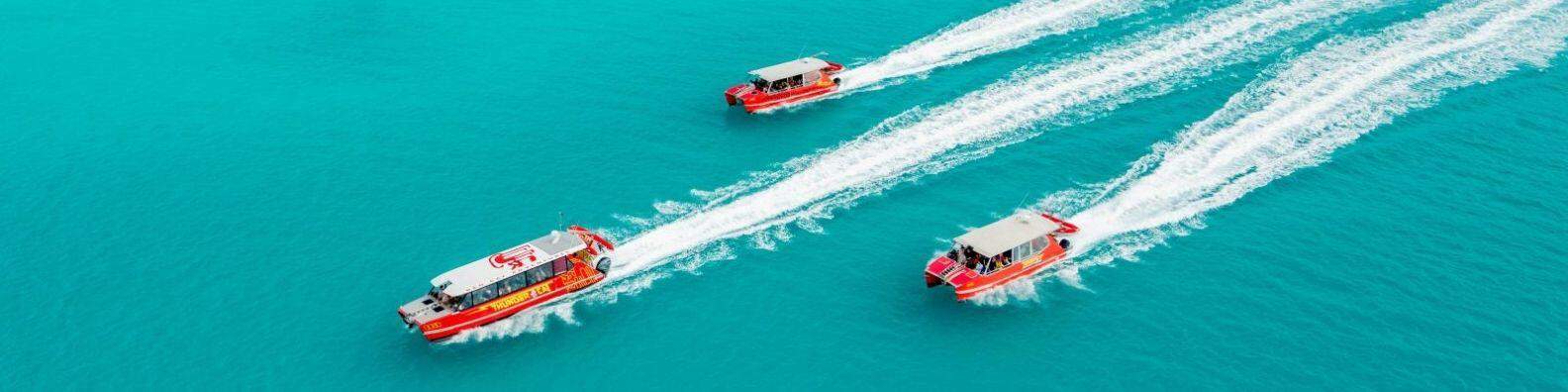 thundercat whitsundays