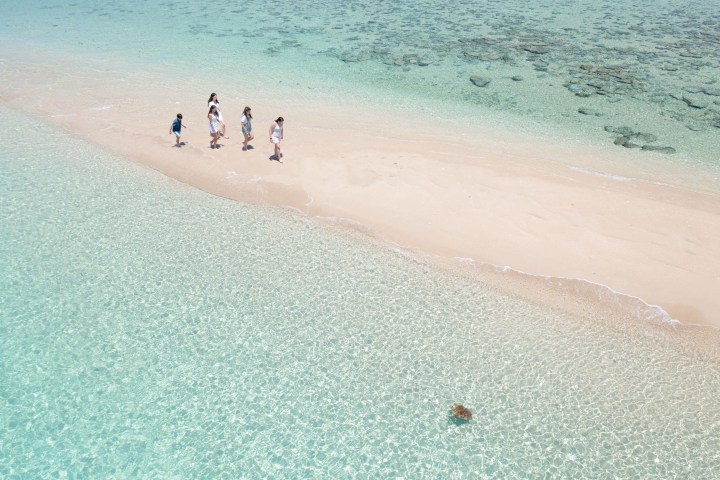 People walking on a Langford Sandbar surrounded by clear turquoise water and a turtle in the water