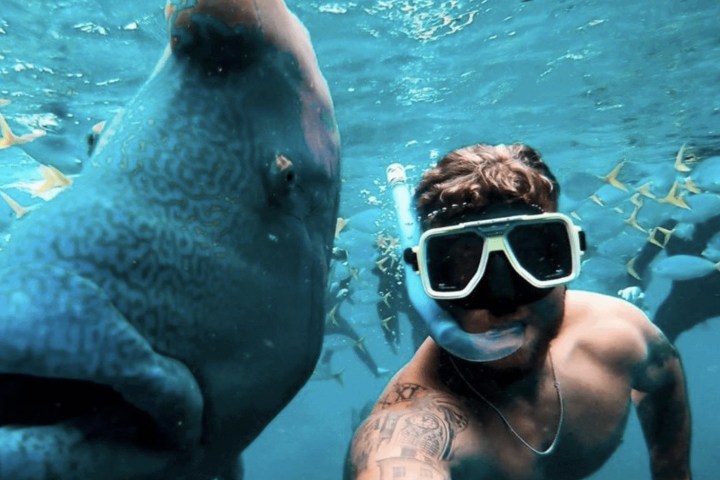 a person swimming in the water