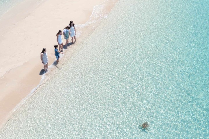 a group of people on a beach