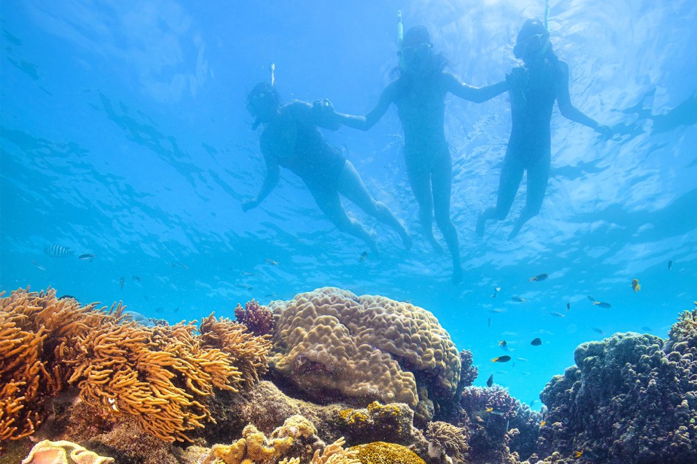 Family and thrill-seekers snorkeling over vibrant coral reefs, above neon-blue fish with yellow tails. Sunlight dances on colorful corals as bubbles rise and a tour boat floats in the background.