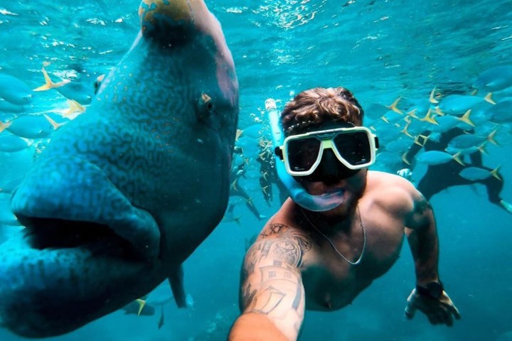 a person swimming in a pool of water