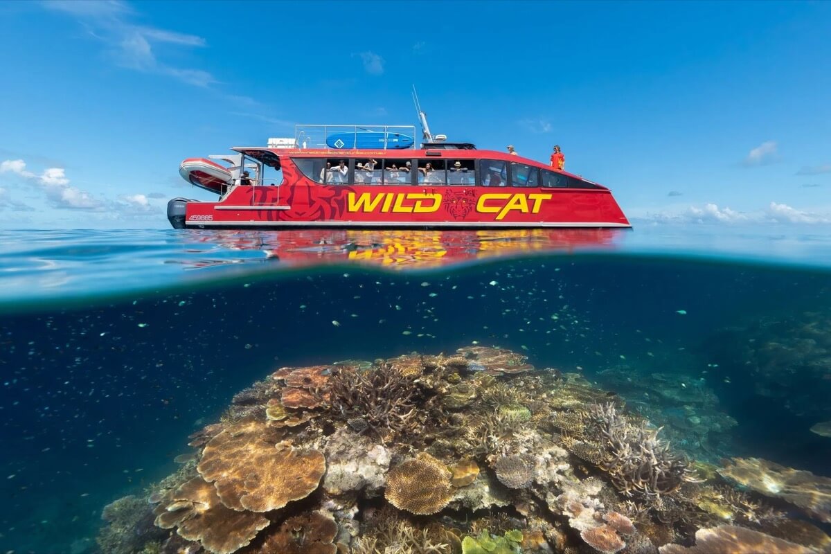 the wildcat vessel sitting on the ocean. Underwater you can see a beautiful body of a coral reef