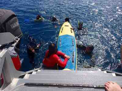 Tour guide person with a floatation device in the water with surrounding snorkellers