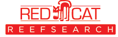 Logo with text 'RED CAT' and 'REEF SEARCH' in red, stylized cat icon between 'RED' and 'CAT'.