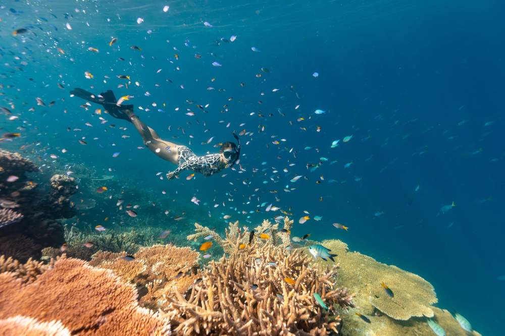 Snorkeler's eye-level view of Agincourt Reef, featuring vibrant corals, parrotfish, angelfish, colorful clownfish in anemones, and a green sea turtle swimming above, all illuminated by sunbeams in sparkling blue water with natural reflections and textures.