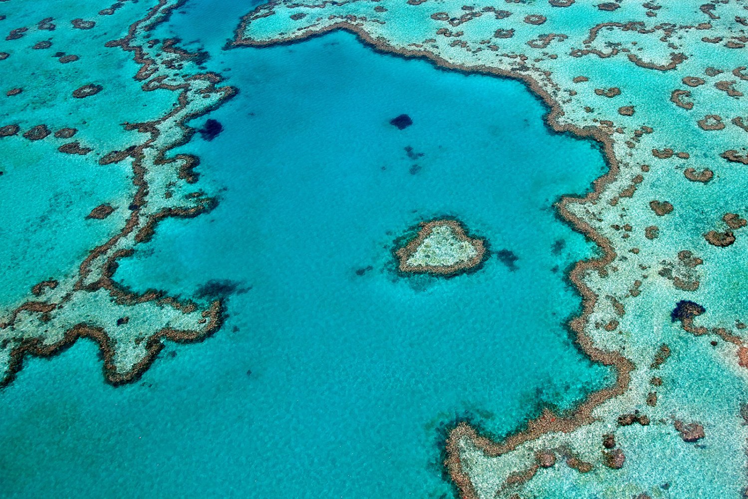 Heart Reef in The Whitsundays is a stunning natural composition of coral in the perfect shape of a heart. It is located in Hardy Reef