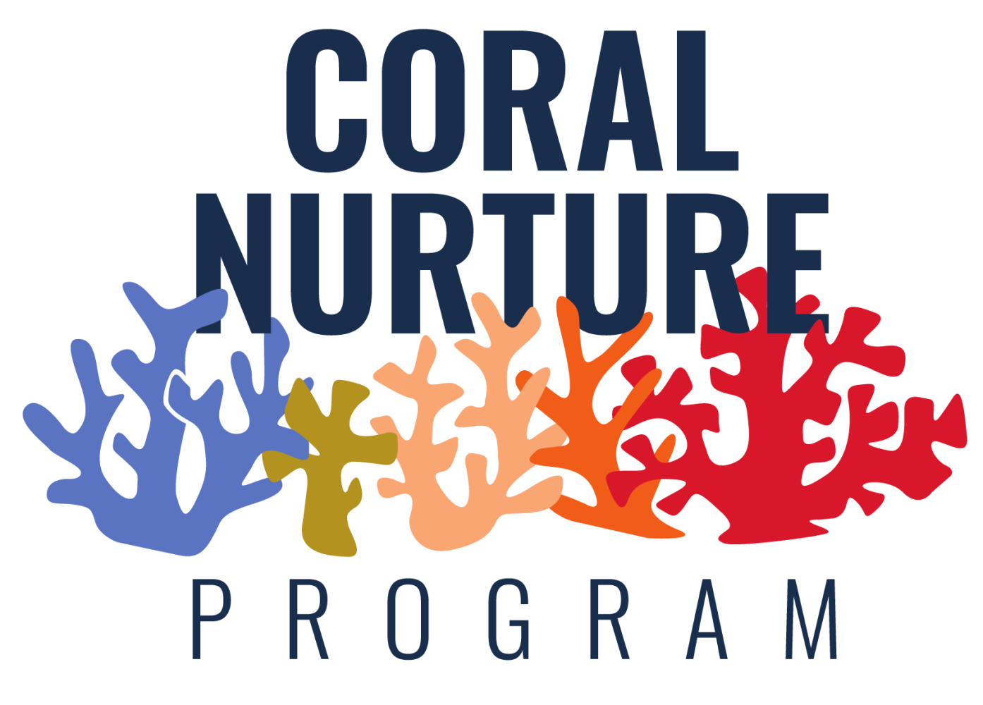 Logo with colorful coral silhouettes and text 'Coral Nurture Program'.