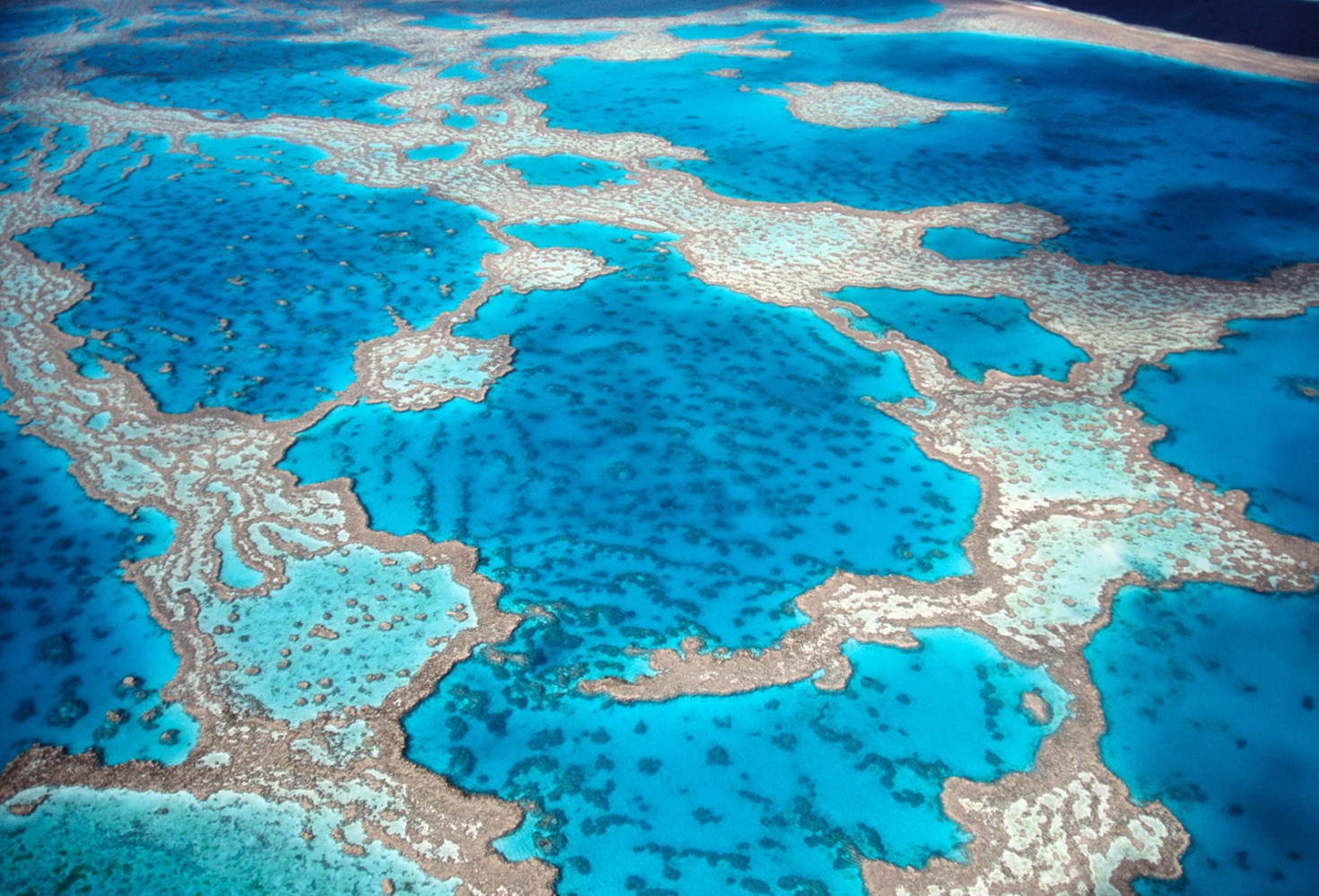 Aerial view of a vibrant blue coral reef in clear ocean waters.